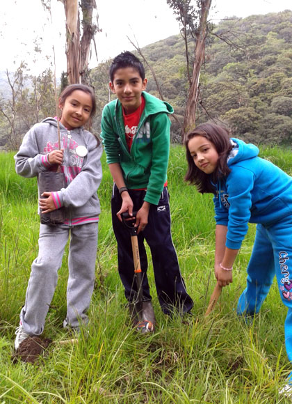 photo: tree planting ativity in Mexico 1