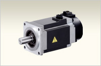 Rotary Servo Motor